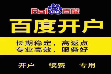 某公司网站sem托管项目纪实